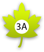 Zelený list, "3A" 