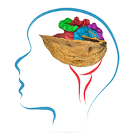 Mozek a výživa