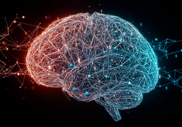 Jak funguje mozek
